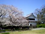 Maizuru Park